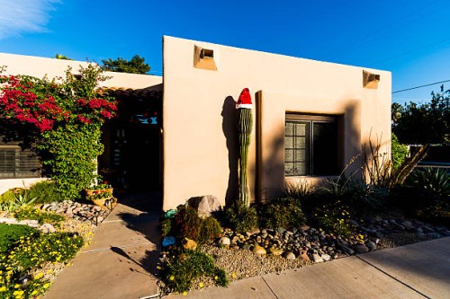 a seguaro cactus adorned with a santa hat - garden decoration stock pictures, royalty-free photos & images