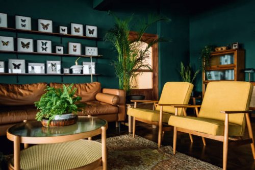 a stylish living room interior with brown and yellow coloured furniture and wooden elements with dark green coloured wall. decorated with plants and butterfly specimen - home decoration stock pictures, royalty-free photos & i