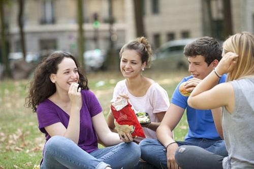 a teen group making a picnic in a park - junk food stock pictures, royalty-free photos & images