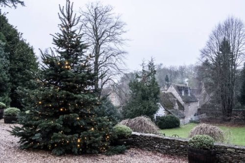 a winter garden, a tall pine tree with lights in the branches, christmas decorations. a traditional stone cottage with slate roof and smoke rising from the chimney. - garden decoration stock pictures, royalty-free photos & im