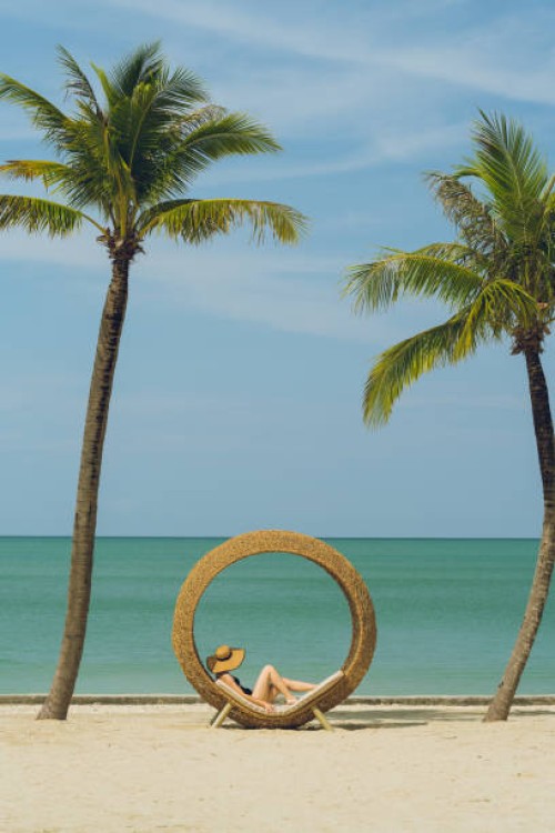 a woman in a black bikini with a hat lies in a chair shaped like a bird's nest by the beach and two coconut trees. - garden decoration stock pictures, royalty-free photos & images