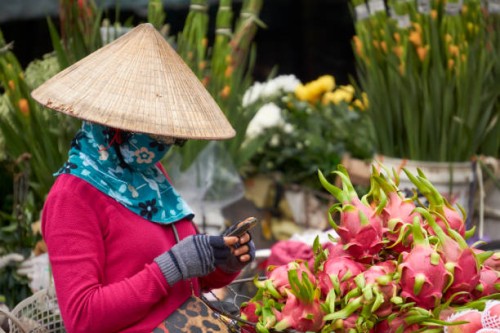 a woman wearing a straw hat using a smart phone. - garden decoration stock pictures, royalty-free photos & images