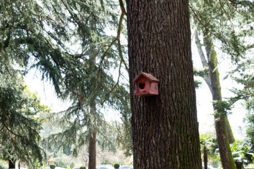 a wooden house made of old boards for a squirrel or bird on a tree trunk in a forest or park. animal care, environmental protection. birdhouse for nest formation. environmental protection. - garden decoration stock pictures,