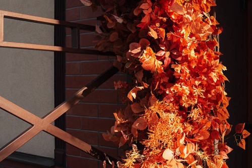 abstract autumn background with yellow, red and orange tree leaves. happy halloween. holiday background. autumn harvest festival. thanksgiving day. - garden decoration stock pictures, royalty-free photos & images