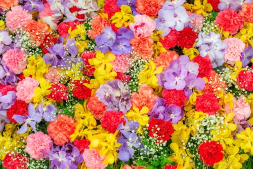 abstract background with bunches of different varieties of colourful flowers. - garden decoration stock pictures, royalty-free photos & images