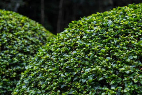 abstract garden - garden decoration stock pictures, royalty-free photos & images