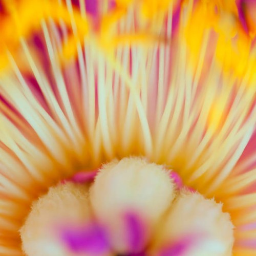 abstract in nature - garden decoration stock pictures, royalty-free photos & images