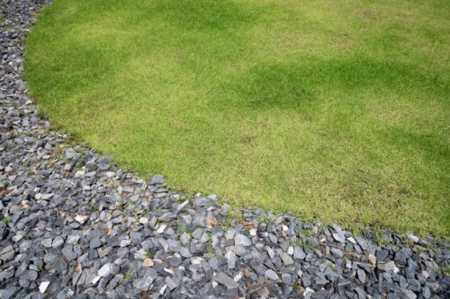 abstract texture background of stone path and grass - garden decoration stock pictures, royalty-free photos & images