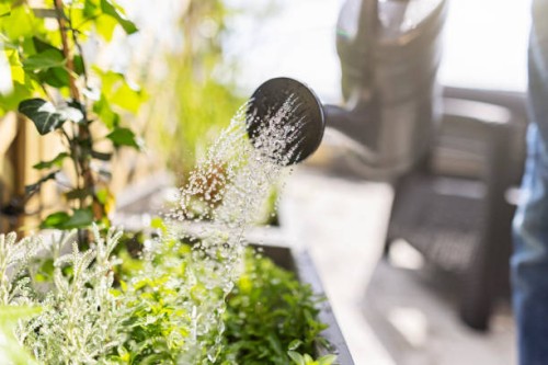 adolescent arrosant des fleurs sur le balcon - garden decoration photos et images de collection