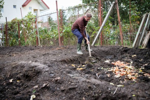 adult making domestic waste for compost from fruits and vegetables in garden. - garden decoration stock pictures, royalty-free photos & images