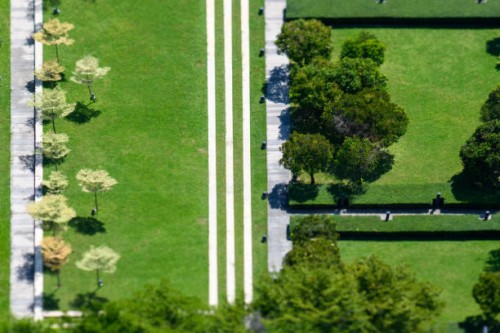 aerial view a tropical park - garden decoration stock pictures, royalty-free photos & images