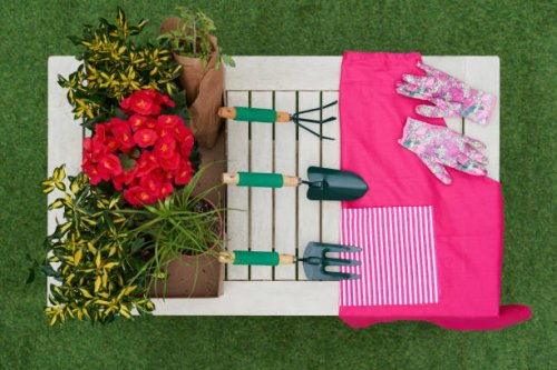 aerial view of gardening equipment and plants on white table for transplanting some plants in a garden. garden concept. - garden decoration stock pictures, royalty-free photos & images