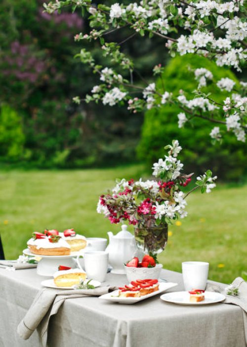 afternoon tea, cakes and bruschetta with ricotta and strawberry in the garden. - garden decoration stock pictures, royalty-free photos & images