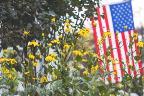 american flag and yellow flowers. - garden decoration stockfoto's en -beelden