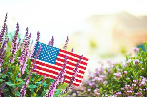 american flag in nature with copy space - garden decoration stock pictures, royalty-free photos & images