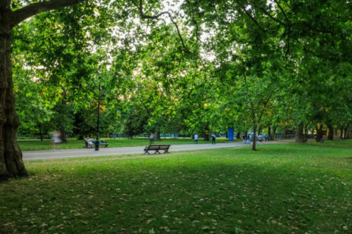 an empty bench with leaves and greenery in hyde park, london - garden decoration photos et images de collection