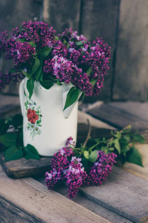 an enamelled coffee pot with a bouquet of fresh lilacs against the background of an old wooden; composition in a rustic style on a wooden background - garden decoration stock pictures, royalty-free photos & images