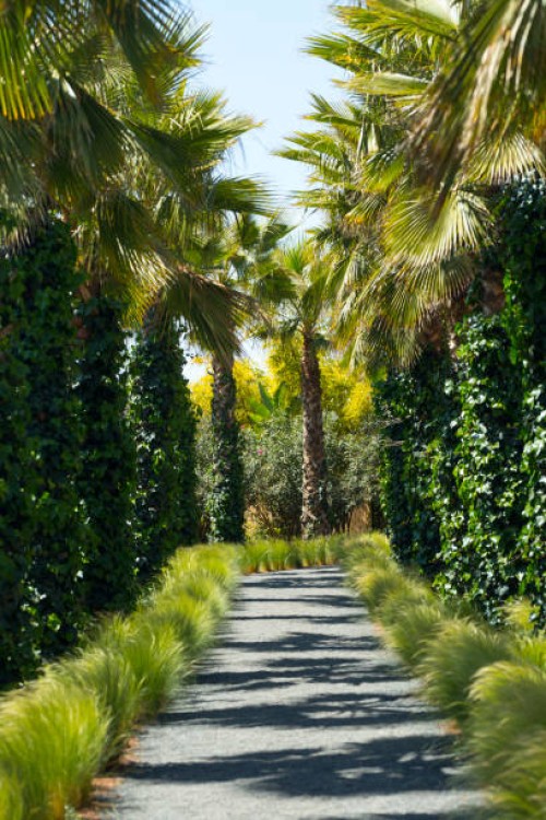 anima gardens, ourika valley, morocco - garden decoration stock pictures, royalty-free photos & images