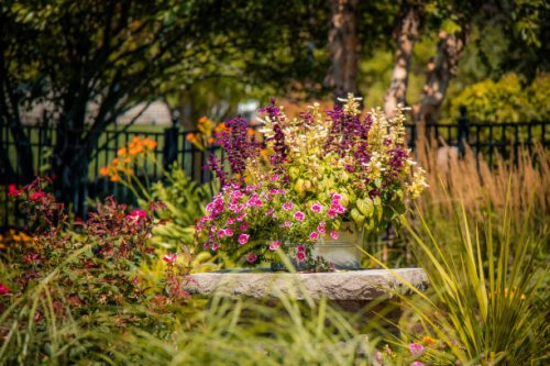 annuals growing in a tin container outdoors backyard - garden decoration stock pictures, royalty-free photos & images