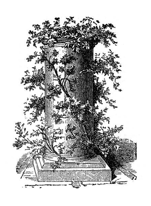 antique illustration of plant and flowers arrangements in vase - garden decoration stock illustrations