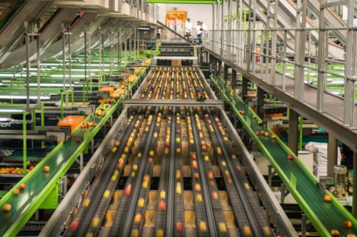 apple factory, sorting machine - food photos et images de collection
