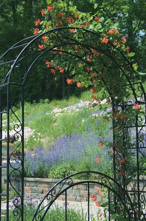 arbor with flowers - garden decoration stock pictures, royalty-free photos & images