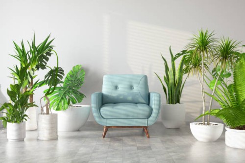 armchair with green plants flowers and cactuses - garden decoration stock pictures, royalty-free photos & images
