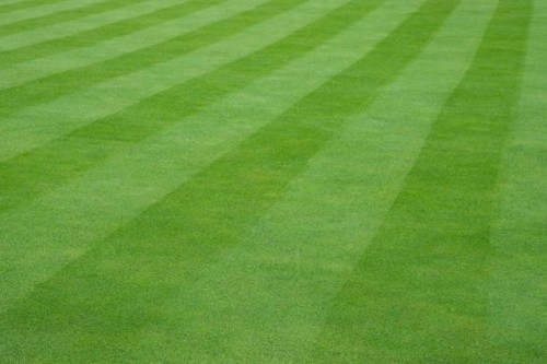 artificial grass textured background with stripe - garden decoration stockfoto's en -beelden