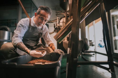 asian chinese senior man craftsperson examining roasted coffee bean de-stoning stone removal process after spinning out from cooling process in his factory - coffee stock pictures, royalty-free photos & images