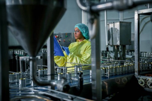 asian female mechanical engineer inspects belt system in food production factories, export. business factory worker - food stock pictures, royalty-free photos & images