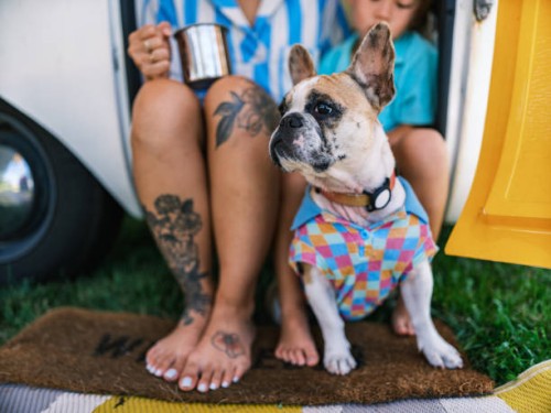 asian mother,son and small dog enjoying trailer camping outdoors - fashion stock pictures, royalty-free photos & images