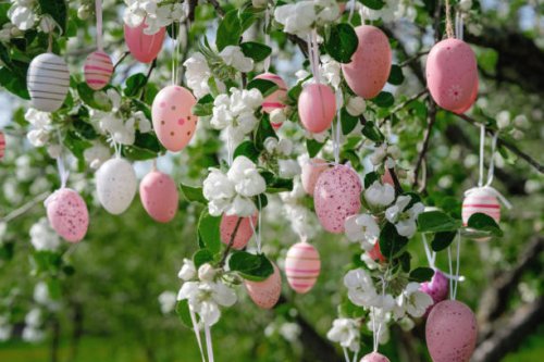 assorted pastel pink easter eggs hanging on blossoming apple tree - garden decoration stock pictures, royalty-free photos & images
