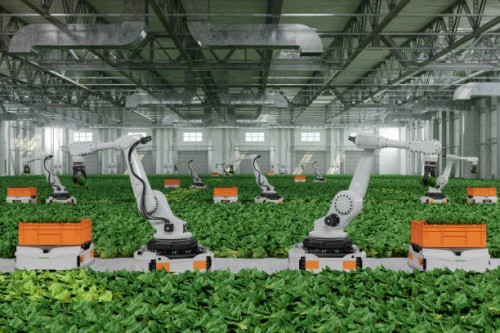 automated agricultural technology with robotic arms harvesting vegetables in greenhouse - food stock pictures, royalty-free photos & images