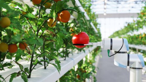 automated hydroponic farm - food stock pictures, royalty-free photos & images