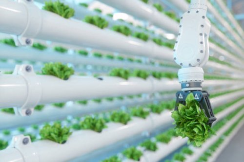 automatic agricultural technology with close-up view of robotic arm harvesting lettuce in vertical hydroponic plant - food stock pictures, royalty-free photos & images