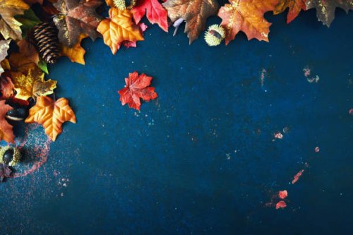 autumn decoration with leafs on rustic background - home decoration stock pictures, royalty-free photos & images