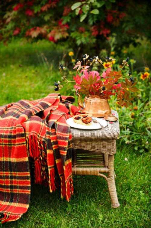 autumn garden. piece of plum cake on the table in the autumn garden - garden decoration stock pictures, royalty-free photos & images