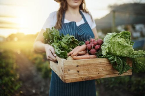 autumn harvest - food stock pictures, royalty-free photos & images