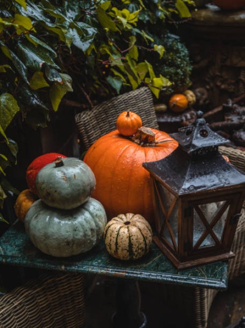 autumn holiday pumpkin arrangement - home decoration stockfoto's en -beelden
