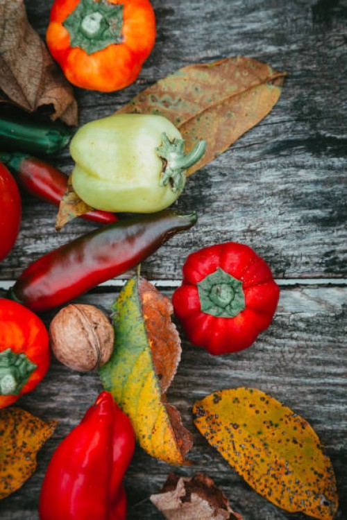 autumn vegetable harvest background - garden decoration stock pictures, royalty-free photos & images