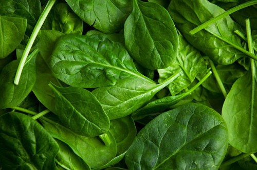 baby spinach - food stockfoto's en -beelden