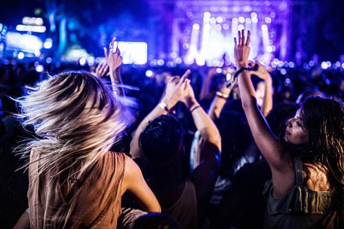 back view of carefree people dancing on music concert by night. - concert stock pictures, royalty-free photos & images