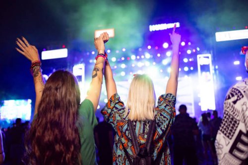 back view of carefree women having fun on a music festival by night. - concert stock pictures, royalty-free photos & images