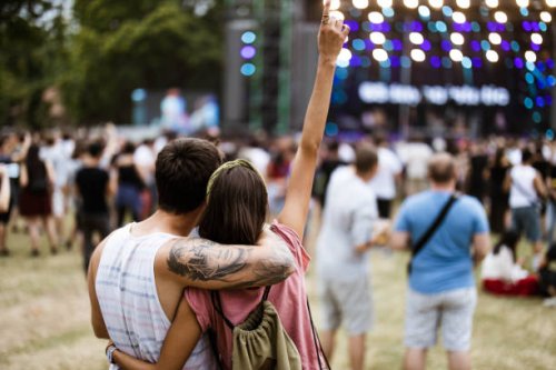 back view of embraced couple on music concert. - concert stock pictures, royalty-free photos & images
