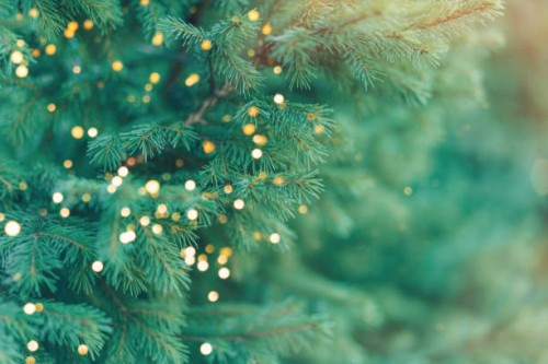 background from branches of christmas tree with burning lights from garland - garden decoration stock pictures, royalty-free photos & images