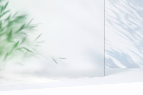 background made of many green plant leaves behind frosted glass and shadows on the white wall. perfect backdrop for showing your products. three dimensional illustration - home decoration stockfoto's en -beelden