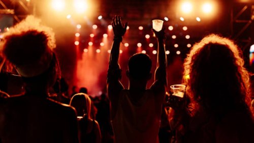 backshot of people at concert - concert stock pictures, royalty-free photos & images