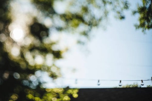backyard green leaf bokeh with string lights and blue sky - garden decoration stock pictures, royalty-free photos & images