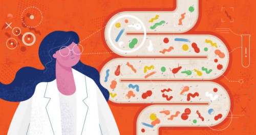 bad bacteria gut under inspection - junk food stock illustrations