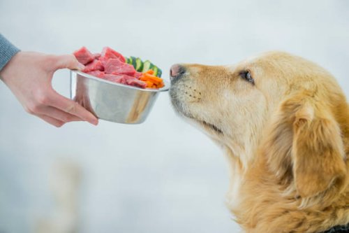 balanced diet - food stock pictures, royalty-free photos & images